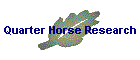 Quarter Horse Research