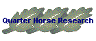 Quarter Horse Research